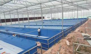 循环水设备 循环水设备