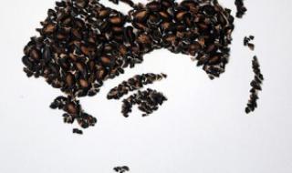 国旗头像制作小程序